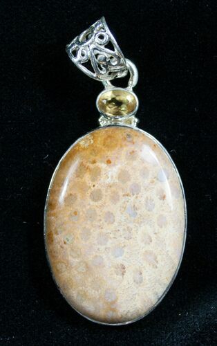 Beautiful Fossil Coral Pendant #7707